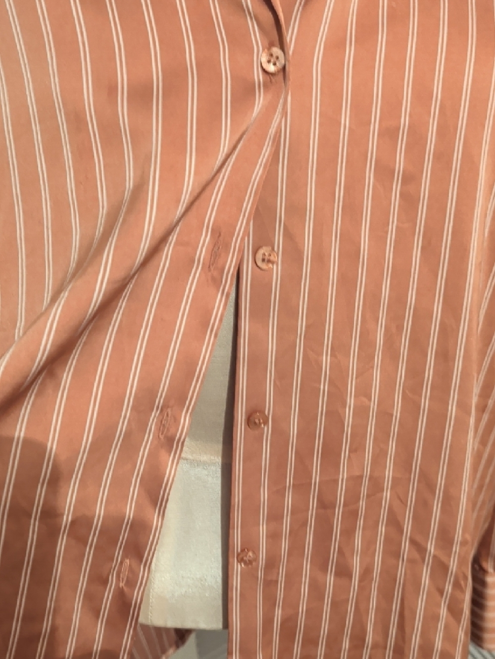 Women's Rust Striped Button-Up Blouse - Picture 2 of 8